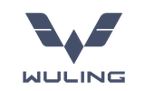 รถยนต์ Wuling Binguo EV วู่หลิง 