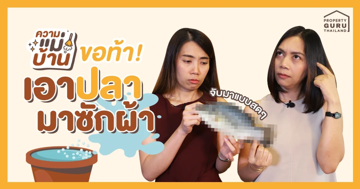 เป็นงงเลยทันที เมื่ออยู่ดีๆ เอาปลามาซักผ้า...ความแม่บ้าน EP.1 มาแปลก ทำอะไรกันเนี่ย?