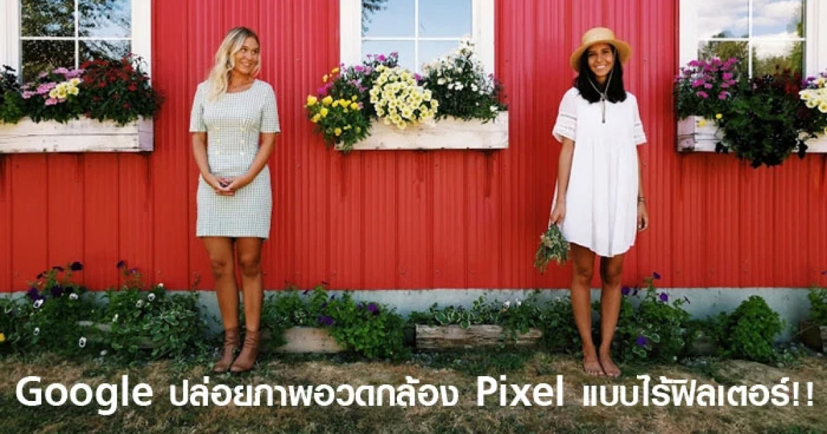 Google ปล่อยภาพอวดกล้อง Pixel แบบไร้ฟิลเตอร์!!