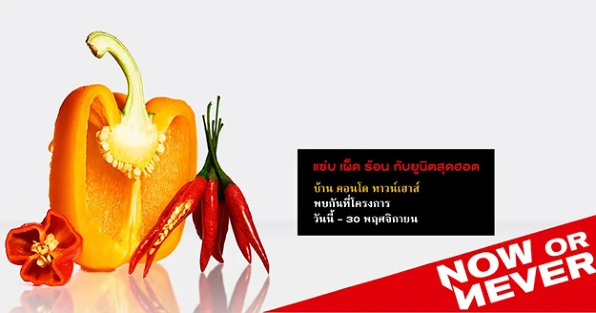 แสนสิริ จัดแคมเปญ "NOW OR NEVER" ต้อนรับไตรมาส 4 แซ่บ เผ็ด ร้อน กับยูนิตสุดฮอต ลดสูงสุดกว่า 3 ล้าน