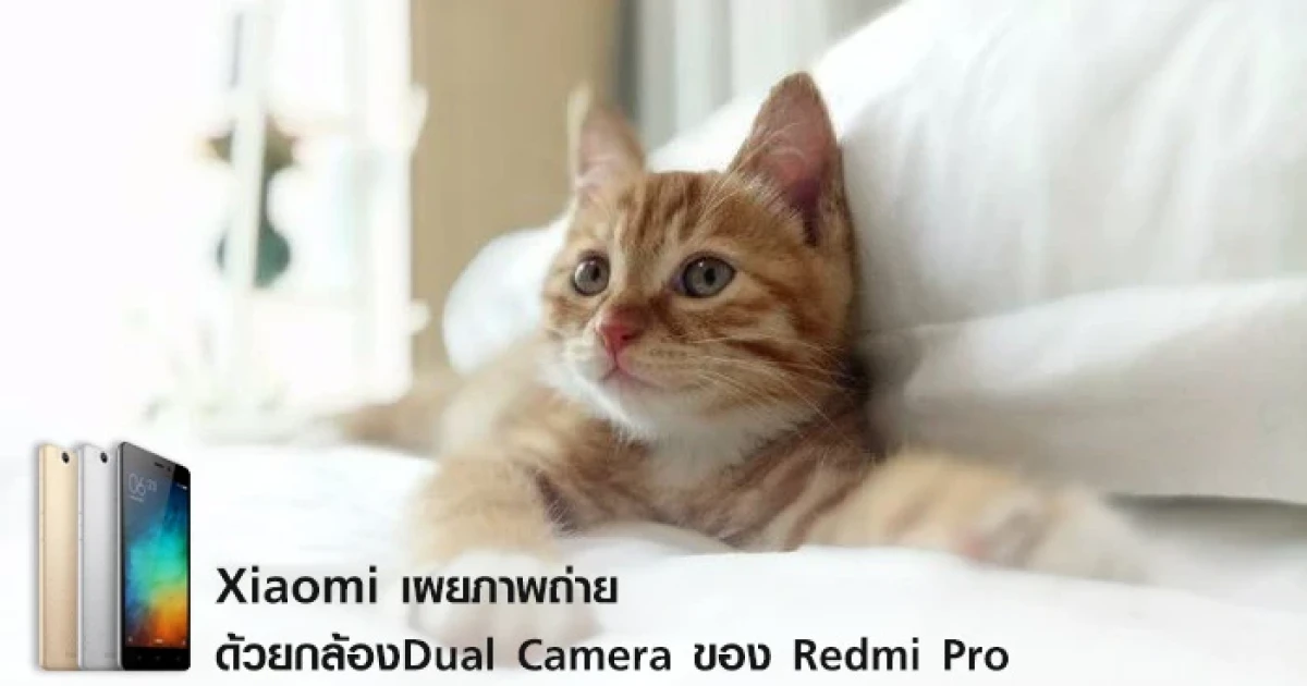 Xiaomi เผยภาพถ่ายด้วยกล้อง Dual Camera ของ Redmi Pro