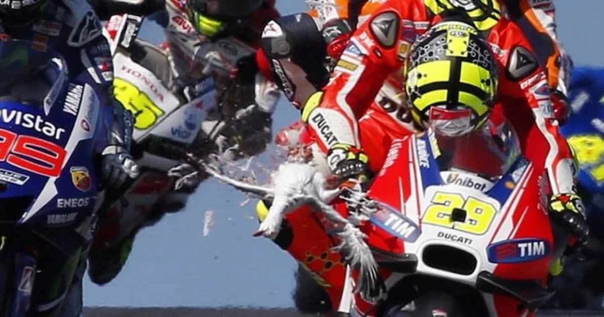 เอียโนเน่ นักบิดทีมดูคาติสอยนกนางนวลร่วงระหว่างแข่งโมโตจีพี