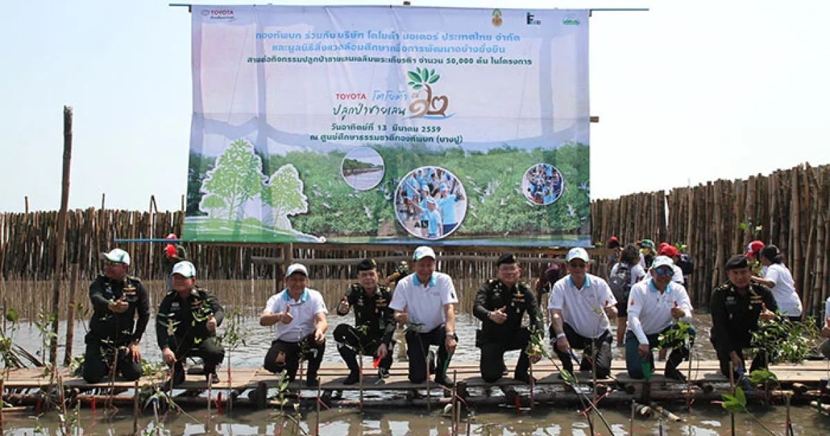 โตโยต้าเมืองสีเขียว รวมพลังเครือข่ายเพื่อสิ่งแวดล้อม ปลูกป่าชายเลน ปีที่ 12 ร่วมสร้างสังคมคาร์บอนต่ำอย่างยั่งยืน