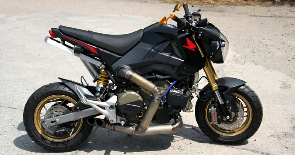 Honda MSX125 โมดุ ยัดเครื่อง Ducati 1199 Panigale R