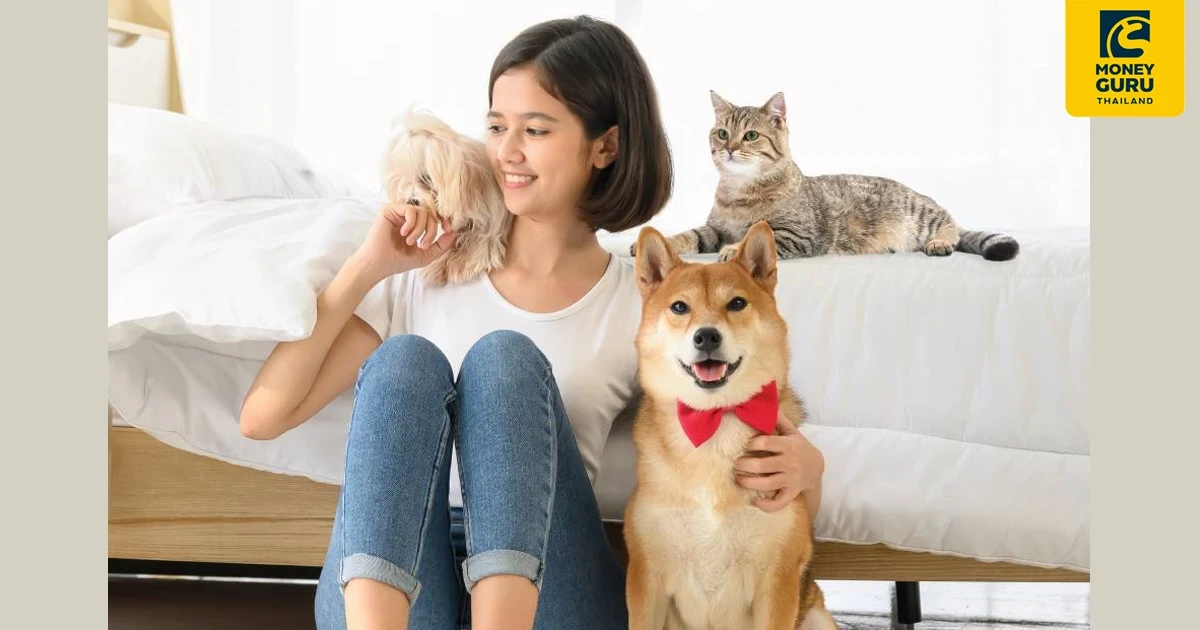 ประกันสัตว์เลี้ยง TIP PET LOVER คุ้มครองจัดเต็มให้กับสัตว์เลี้ยงแสนรัก