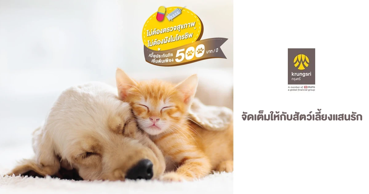 ประกันสัตว์เลี้ยง TIP PET LOVER คุ้มครองจัดเต็มให้กับสัตว์เลี้ยงแสนรัก พร้อมรับ Central Gift Voucher สูงสุด 200 บาท*