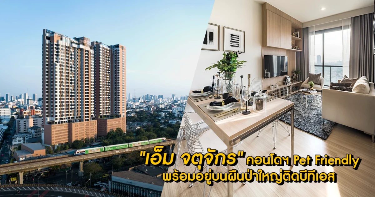 "เอ็ม จตุจักร" คอนโดฯ Pet Friendly พร้อมอยู่บนผืนป่าใหญ่ติดบีทีเอส เริ่มต้น 4.5 ล้าน