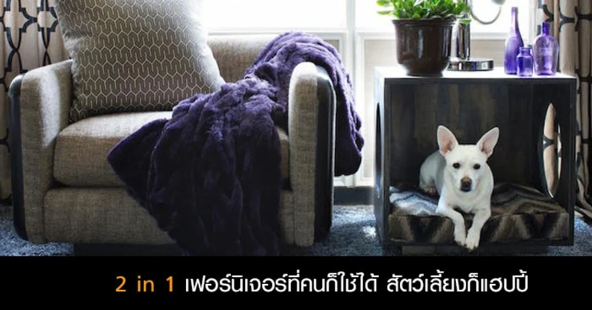 2 in 1 เฟอร์นิเจอร์ที่คนก็ใช้ได้ สัตว์เลี้ยงก็แฮปปี้!