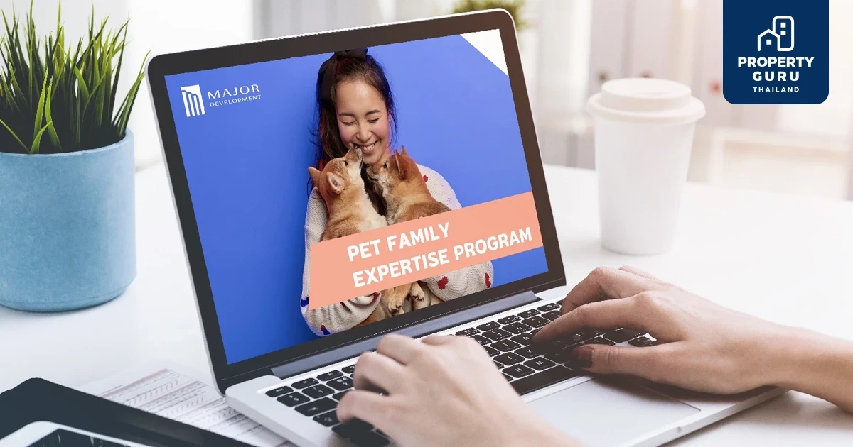 เมเจอร์ ดีเวลลอปเม้นท์ มืออาชีพตัวจริงคอนโดเลี้ยงสัตว์ได้  พัฒนาหลักสูตรใหม่ร่วมกับโรงพยาบาลสัตว์ ‘Pet Family Expertise Program’