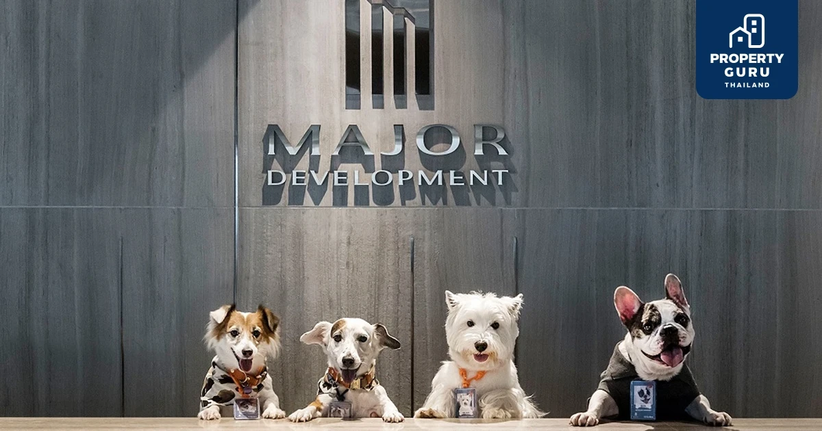 Petscape Manager เจ้าตูบ 4 ขาอัจฉริยะ ที่ช่วยเผยความลับ Pet-insights ให้ เมเจอร์ฯ นั่งแท่นเบอร์ 1 คอนโดเลี้ยงสัตว์ได้