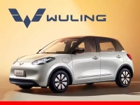 Wuling Promotion