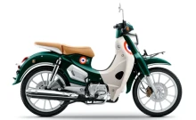 จีพีเอ็กซ์ GPX POPz 110 ปี 2021