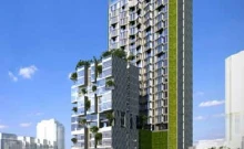 ไซมิส ราชครู (Siamese RatchaKru)