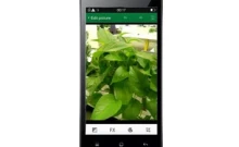 ออปโป OPPO Joy 3