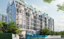 เคฟ ซี้ด เกษตร (Kave Seed Kaset)