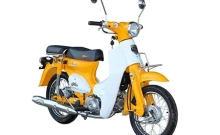 จงเซิน ริวก้า Zongshen Ryuka Classic Mini ปี 2015