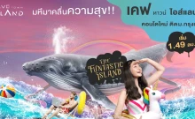 เคฟ ทาวน์ ไอส์แลนด์ (Kave Town Island)