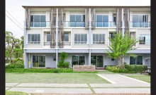 เดอะ แพลนท์ ซิตี้ แจ้งวัฒนะ (The Plant Citi Chaengwatthana)