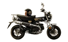 ฮอนด้า Honda DAX 125 Royal Limited Edition ปี 2025