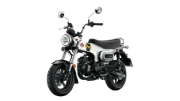 ฮอนด้า Honda DAX 125 ปี 2026