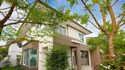 ชัยพฤกษ์ ปิ่นเกล้า - สาย 5 (Chaiyapruk Pinklao-Sai 5)