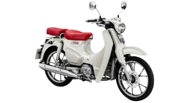 Honda Super Cub ทุกรุ่นย่อย