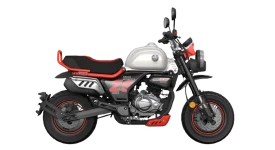 Cyclone Mini Panda ทุกรุ่นย่อย