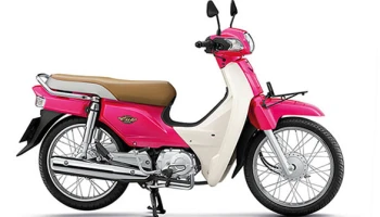 ใหม่สุดฮิต เจแปนนิสสุดเก๋า