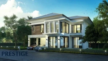 พิลโล่ 142 (Pillow 142)