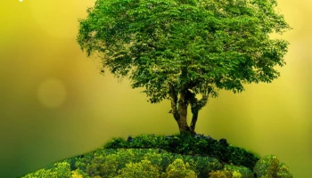 ศูนย์วิจัยเทเลนอร์ เผย 5 เทรนด์เทคโนโลยีที่จะเร่งการเปลี่ยนผ่านสู่โลกสีเขียวในปี 2565