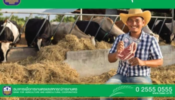 สินเชื่อสานฝันเกษตรกรรุ่นใหม่ เพื่อเป็นค่าใช้จ่าย หรือลงทุนในการประกอบอาชีพเกษตรกรรม จาก ธ.ก.ส.