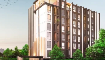 โมเดิร์น คอนโด เดอะ ฟอเรสท์ (Modern Condo The Forest)