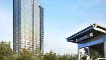 ไซมิส เอ๊กซ์คลูซีพ ควีนส์ (Siamese Exclusive Queens)