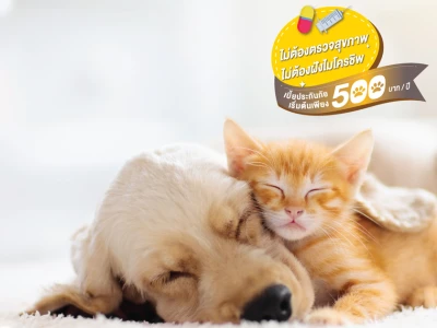 ประกันสัตว์เลี้ยง TIP PET LOVER คุ้มครองจัดเต็มให้กับสัตว์เลี้ยงแสนรัก พร้อมรับ Central Gift Voucher สูงสุด 200 บาท*