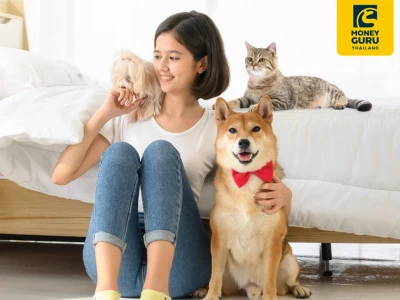 ประกันสัตว์เลี้ยง TIP PET LOVER คุ้มครองจัดเต็มให้กับสัตว์เลี้ยงแสนรัก