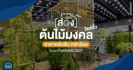 ส่อง ต้นไม้มงคล ไซส์จิ๋ว ราคาหลักสิบ - หลักร้อย ในงาน "บ้านและสวน 2020"