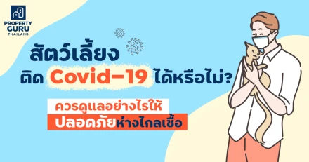 สัตว์เลี้ยงติด Covid-19 ได้หรือไม่? ควรดูแลอย่างไรให้ปลอดภัยห่างไกลเชื้อ