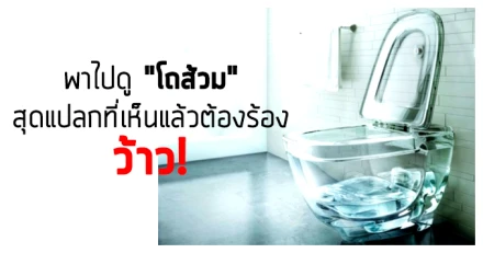 พาไปดู "โถส้วม" สุดแปลกที่เห็นแล้วต้องร้อง ว้าว!