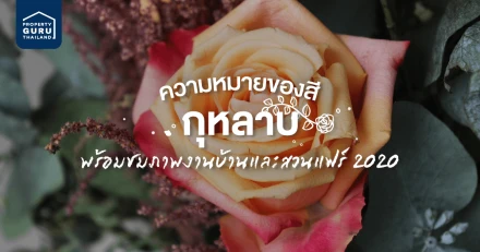 "กุหลาบ" จากงานบ้านและสวนแฟร์ 2020 พร้อมความหมายแทนแต่ละสี