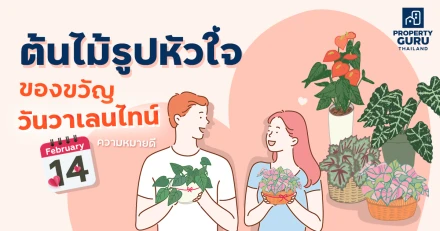 ต้นไม้รูปหัวใจของขวัญวันวาเลนไทน์ความหมายดี