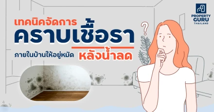 เทคนิคจัดการคราบเชื้อราภายในบ้านให้อยู่หมัดหลังน้ำลด