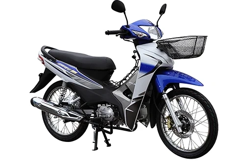 Zongshen Ryuka Save 110 จงเซิน ริวก้า เซฟ110