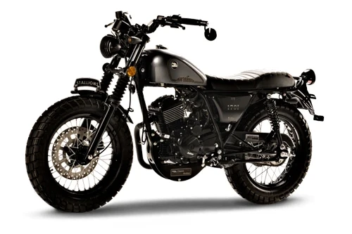 Stallions C-series สตาเลียน 