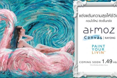 แอทโมซ แอสเซทไวส์