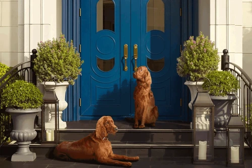 นาราสิริ แสนสิริ นาราสิริ แสนสิริ