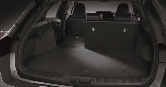 รูปภาพ เลกซัส Lexus UX 300h F Sport ปี 2024