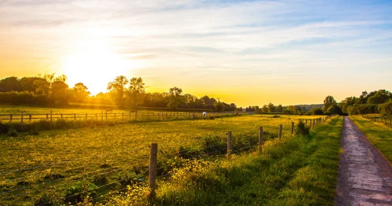 รูปภาพ เดอะ คอทส์โวลด์ เขาค้อ (The Cotswold Khao Kho)