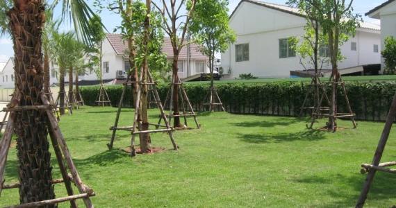 รูปภาพ บ้านราชพฤกษ์ ประตูน้ำพระอินทร์ เฟส 2 (Baan Ratchapruek Pratunam Pra-inn Phase 2)