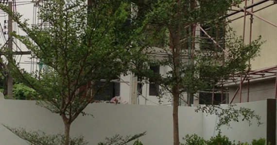 รูปภาพ ออทัม เรสซิเด้นซ์ (Autumn Residence)