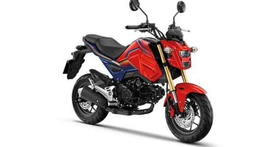 รูปภาพ ฮอนด้า Honda MSX125 SF Standard MY20 ปี 2020